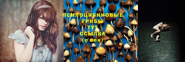 mdpv Волосово