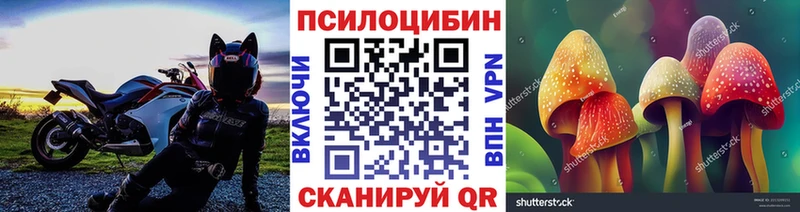 Псилоцибиновые грибы ЛСД Полесск