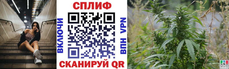 Бошки Шишки ГИДРОПОН  Полесск 